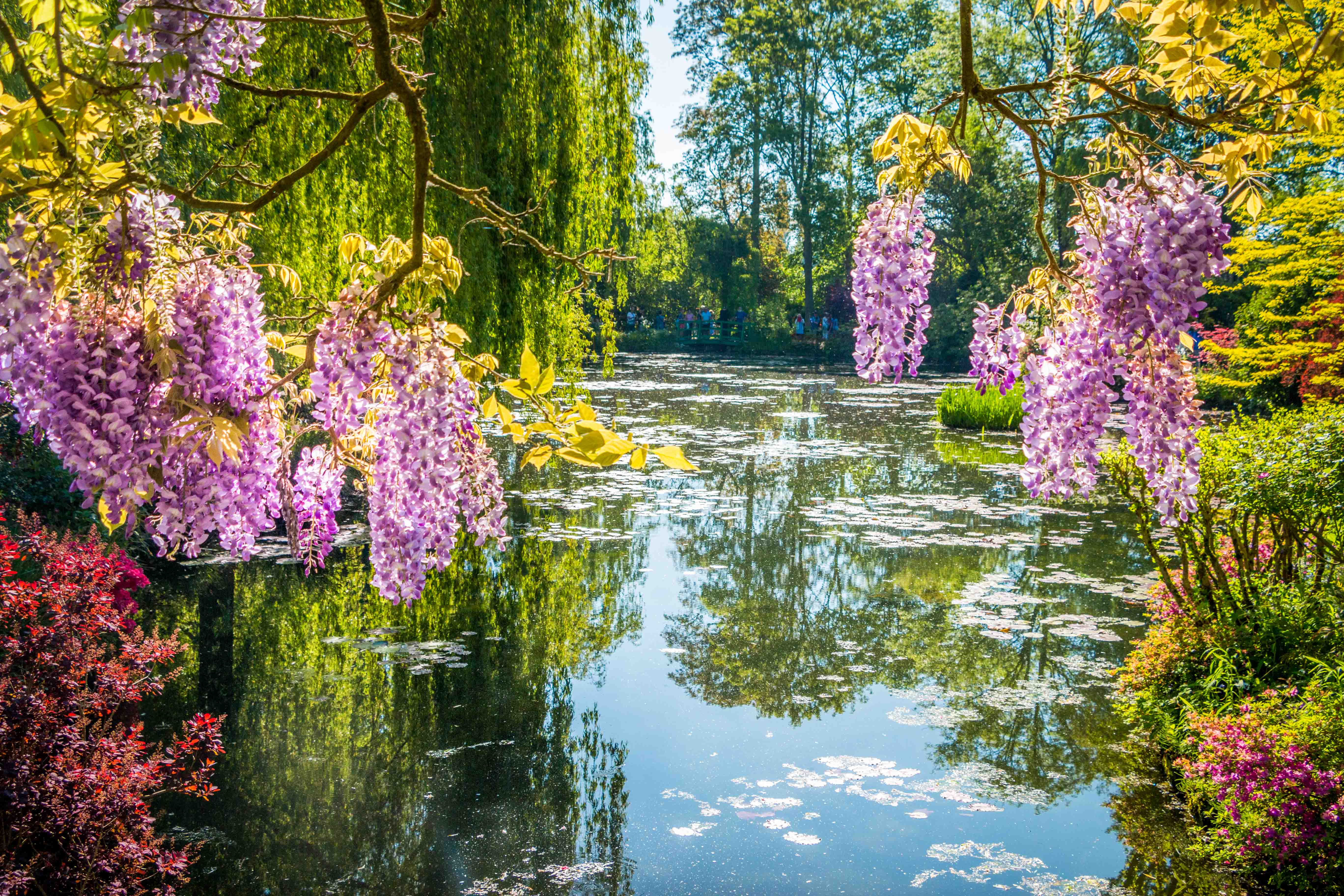 Paris to Giverny Tour Information, Tickets, Reviews, and More